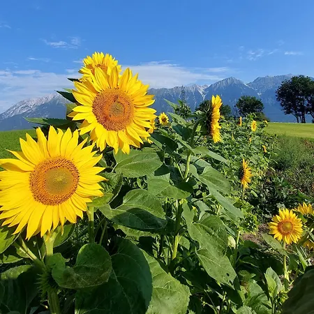 Uriges In Der Alten Schmiede Apartman